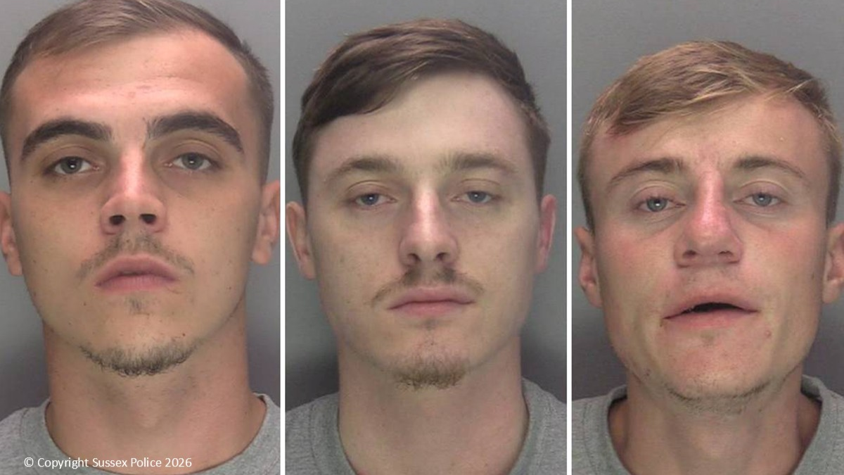 Three men sentenced for grievous assault